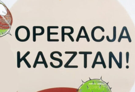kasztan kasztan
