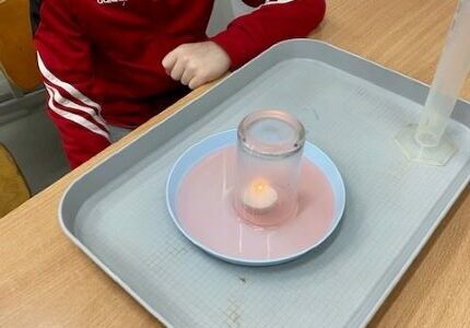 IMG_8943 IMG_8943